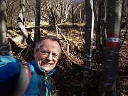 Sul Monte Suchello (1541 m) in parte innevato da Costa Serina il 15 febbraio 2017 - FOTOGALLERY